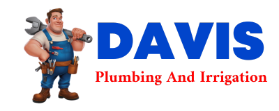 Trusted plumber in FRED